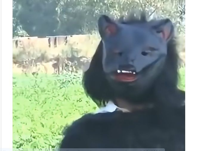 Αγρότες στην Ινδία μεταμφιέζονται σε αρκούδες για να σώσουν τις καλλιέργειες τους από αγέλες πιθήκων