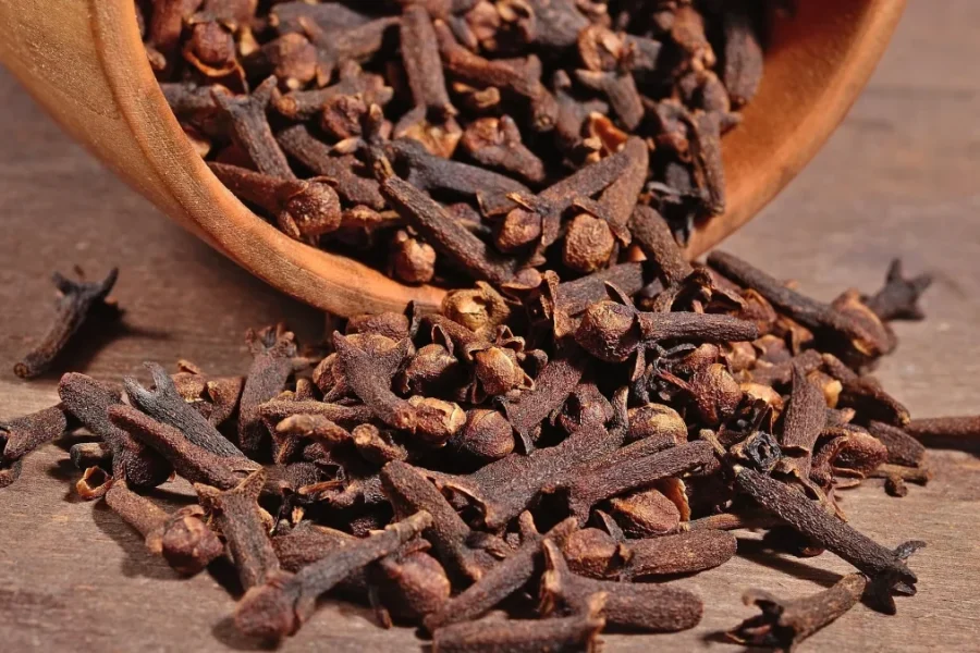 6 απίστευτα οφέλη του να μασάτε γαρίφαλο κάθε μέρα