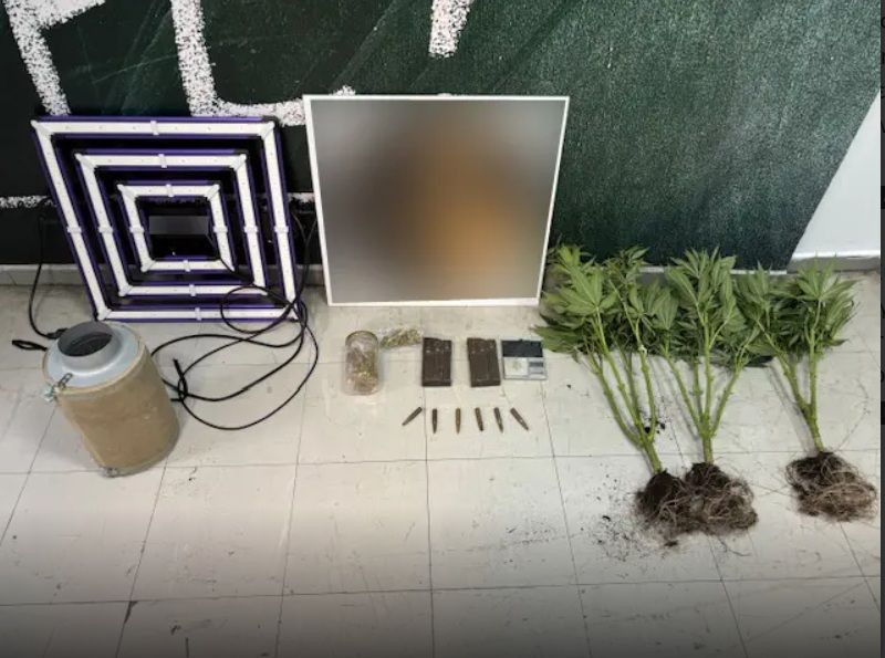 Πλήρως εξοπλισμένο εργαστήριο κάνναβης σε δώμα οικίας 48χρονου εντόπισαν οι Αρχές