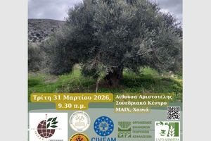 Εκδήλωση με θέμα: «Έχει μέλλον η ελαιοκομία στην Κρήτη; Ελιά και ελαιόλαδο: προβλήματα και προοπτικές» στα Χανιά