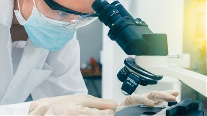 Επιστήμονες δημιούργησαν τον πρώτο οισοφάγο σε εργαστήριο