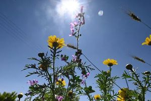 Αίθριος καιρός στην Κρήτη-Έως 19 βαθμούς Κελσίου η θερμοκρασία