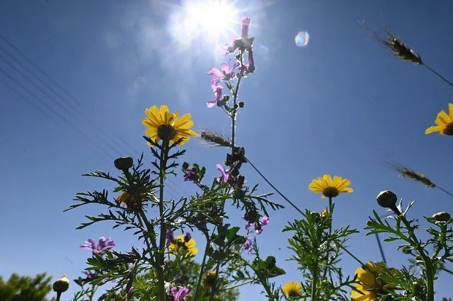 Αίθριος καιρός με αραιές νεφώσεις στην Κρήτη