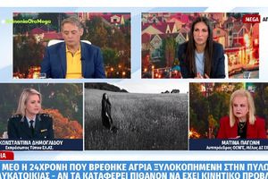 Η εκπρόσωπος Τύπου της ΕΛ.ΑΣ. Κωνσταντία Δήμογλίδου μίλησε για την υπόθεση της 24χρονης στη Βέροια