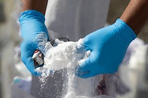 Οργανισμός Ευρωπαϊκής Ένωσης για τα Ναρκωτικά: Περισσότερη κοκαΐνη και κεταμίνη στα λύματα στην Ευρώπη