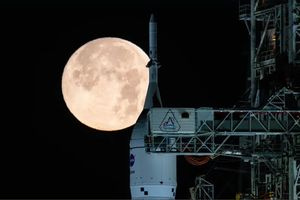 Επιστημονική ομάδα καλλιέργησε ρεβίθια χρησιμοποιώντας προσομοιωμένο σεληνιακό χώμα