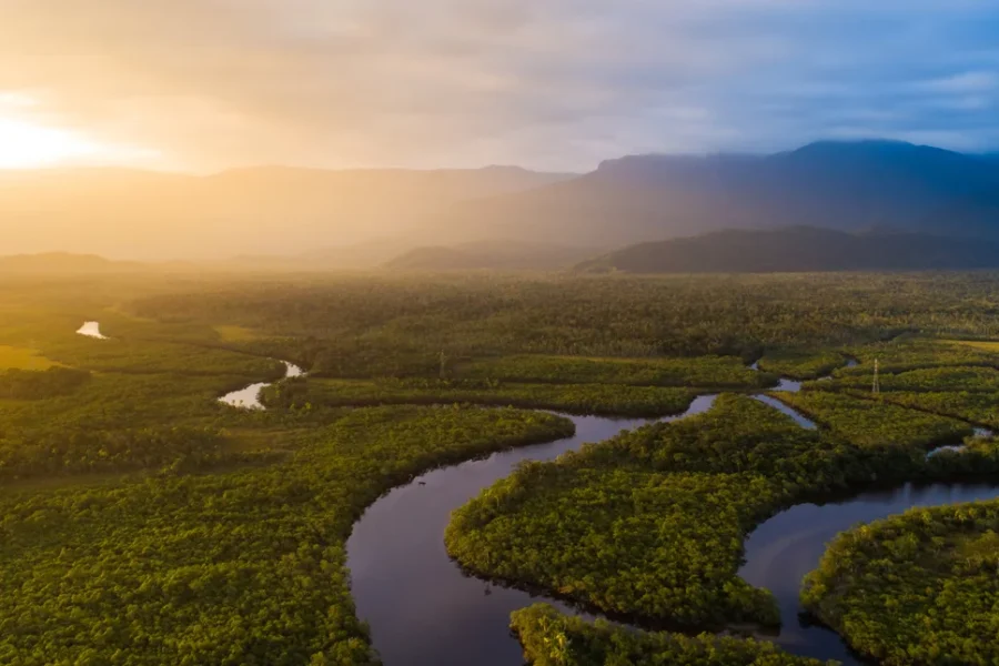 Οι επιστήμονες «ζύγισαν» τη συνολική βλάστηση της Γης και τα αποτελέσματα τους ανησύχησαν