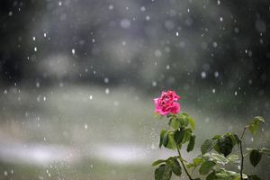 Ο καιρός στην Κρήτη: Άνοιξη με νεφώσεις και τοπικές βροχές