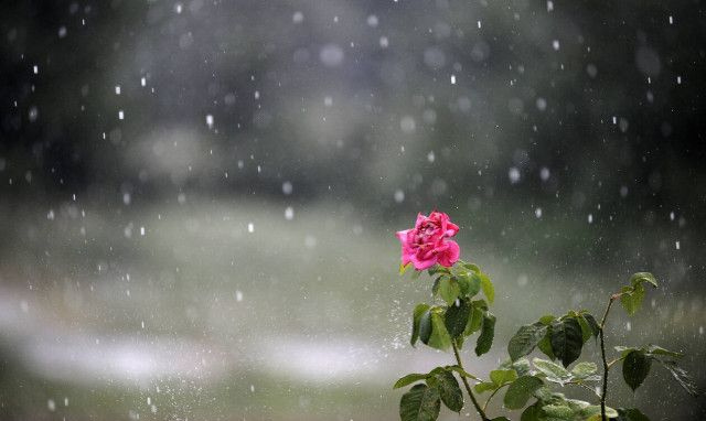 Ο καιρός στην Κρήτη: Άνοιξη με νεφώσεις και τοπικές βροχές