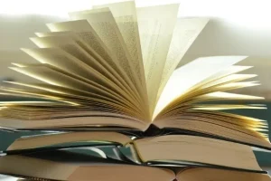 Η Χαν Κανγκ κέρδισε το βραβείο μυθοπλασίας του Εθνικού Κύκλου Κριτικών Βιβλίου