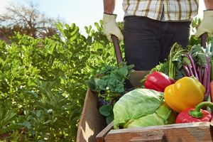 «Χτύπημα» στην ύπαιθρο της Κρήτης – Κύμα αυξήσεων σε καύσιμα, μεταφορές και αγροτικά εφόδια
