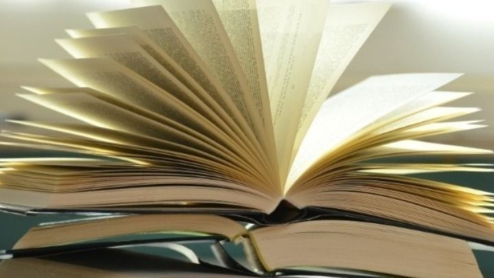 Ινδία: Κατάσχεση ρεκόρ πειρατικών βιβλίων