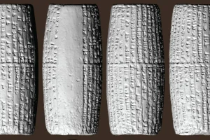 Αρχαία χρονοκάψουλα αποκαλύπτει λεπτομέρειες για βασιλιά της Βίβλου