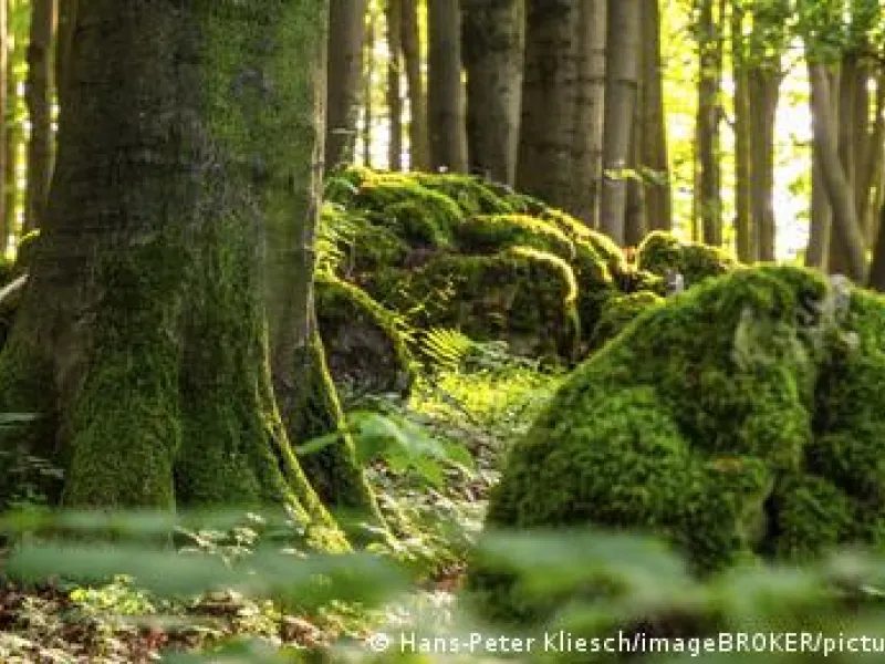 Γιατί απομακρυνόμαστε από τη φύση;