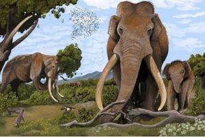 Τεράστιοι ελέφαντες ζούσαν στην Ευρώπη και τους κυνηγούσαν οι Νεάντερταλ