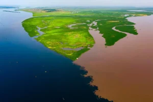 Aρχαίο «θησαυροφυλάκιο» άνθρακα άρχισε να έχει διαρροή – Τι σημαίνει για τον πλανήτη