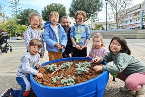 Νηπιαγωγάκια στο Ρέθυμνο φύτευσαν 80 αρωματικά φυτά της Κρήτης στην πλατεία Αη Γιώργη Πεταλιώτη