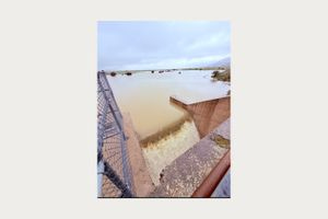 Όσα δε φτάνει η αλεπού, τα κάνει κρεμαστάρια!