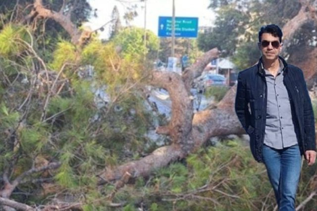 Τραγωδία στο Ηράκλειο: Στο σκαμνί 6 για το φονικό πεύκο που σκότωσε τον 51χρονο Παναγιώτη – Δίκη 4 χρόνια μετά, σε δόσεις… η αποζημίωση στην οικογένεια