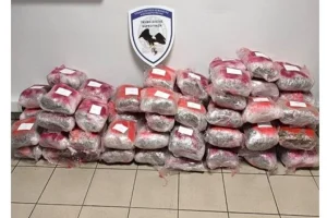 Πάνω από 60 κιλά ακατέργαστης κάνναβης κατασχέθηκαν στη Θεσσαλονίκη – Χειροπέδες σε 42χρονο