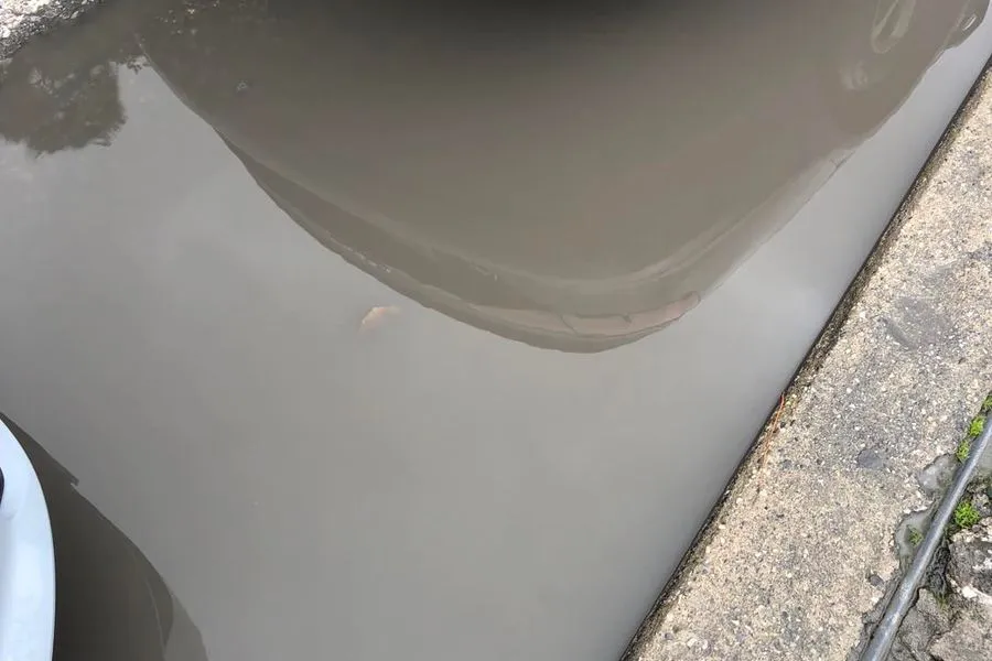 «Εικόνες ντροπής» στο 3ο Δημοτικό Νέας Αλικαρνασσού – Πλημμύρισαν υπόγεια και σχολικές αίθουσες