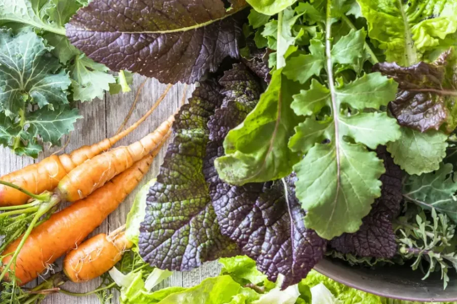 Πώς καταλήγουμε να τρώμε μικροπλαστικά μέσα από φρούτα και λαχανικά