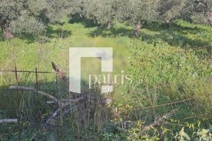 Μυστήριο με πτώμα στον Αποκόρωνα