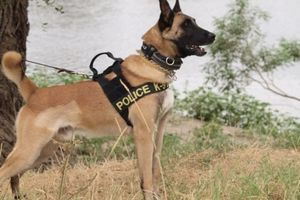 (ΒΙΝΤΕΟ)  Έρευνες από τον σκύλο της ΕΛ.ΑΣ. στο χώρο που θα γίνει η πρώτη Fresh Expo στην Ιεράπετρα