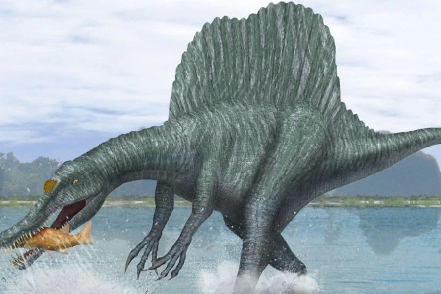 Εντοπίστηκε νέο είδος Σπινόσαυρου: Ζούσε σε ποτάμια πριν από 95 εκατ. χρόνια αλλά ίσως δεν ήταν κολυμβητής