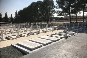 Ευοίωνες ακτίνες φωτός μέσα στην καταχνιά των καιρών