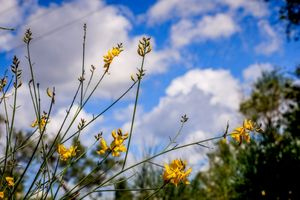 Συννεφιασμένος ο καιρός στην Κρήτη