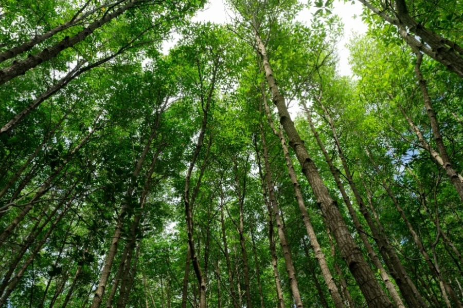 Ο Φεβρουάριος ανάμεσα στους πιο θερμούς παγκοσμίως στα χρονικά, οι εντυπωσιακές αντιθέσεις