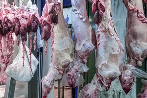 Ανησυχία για παράνομες σφαγές ενόψει Πάσχα