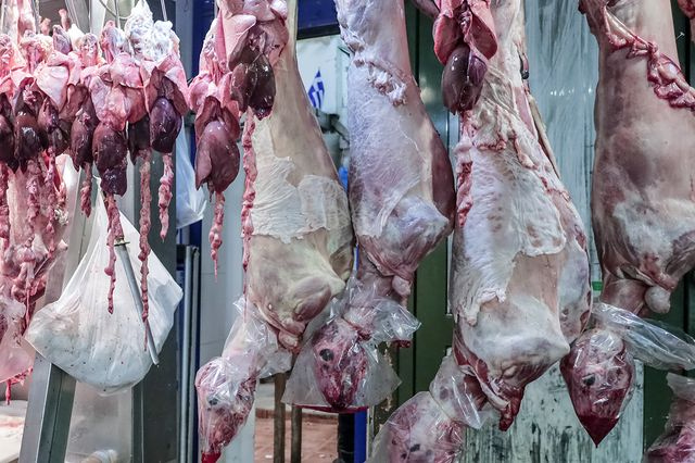 Ανησυχία για παράνομες σφαγές ενόψει Πάσχα