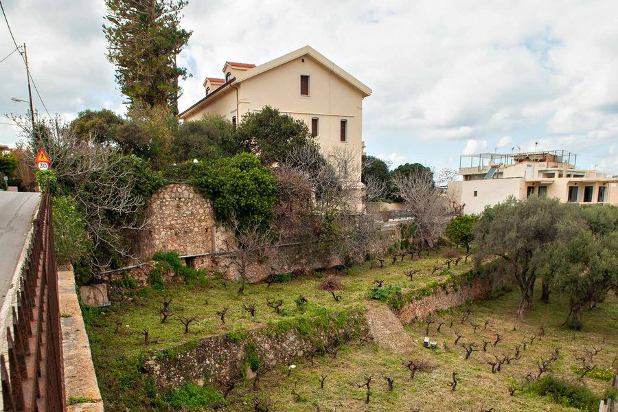 Eκδήλωση  για το  αμπέλι του Βενιζέλου στη Χαλέπα