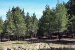 Χαλκιδική: «Η γυναίκα της κόκκινης βαλίτσας μπορεί να είναι η κόρη μου» – Τι λέει πατέρας αγνοούμενης