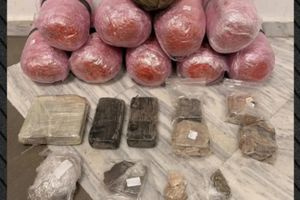 Το λαγωνικό “Vector” της αστυνομίας εντόπισε 2 κιλά ηρωίνης και 11 κάνναβης