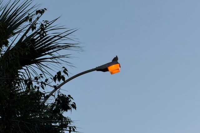 Συνεχίζουν να ανάβουν τα φώτα μεσημεριάτικα στη λεωφόρο Αντιστάσεως