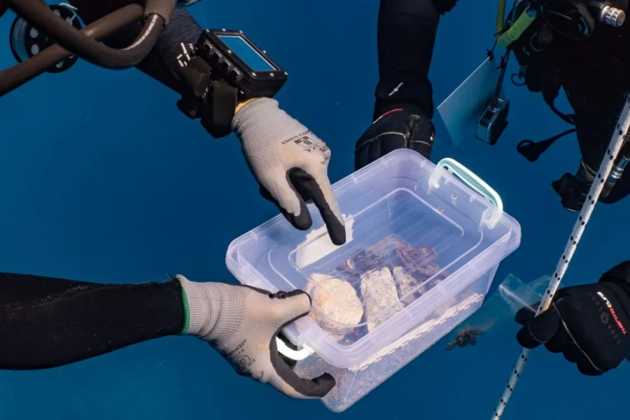 Νέο εύρημα στο ναυάγιο του πλοίου του Έλγιν στα Κύθηρα: Βρέθηκε θραύσμα πιθανόν από τον γλυπτό διάκοσμο του Παρθενώνα