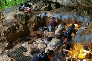 Γενετική ομοιομορφία των ύστερων Νεάντερταλ ίσως οδήγησε στην εξαφάνισή τους, αποκαλύπτει νέα μελέτη