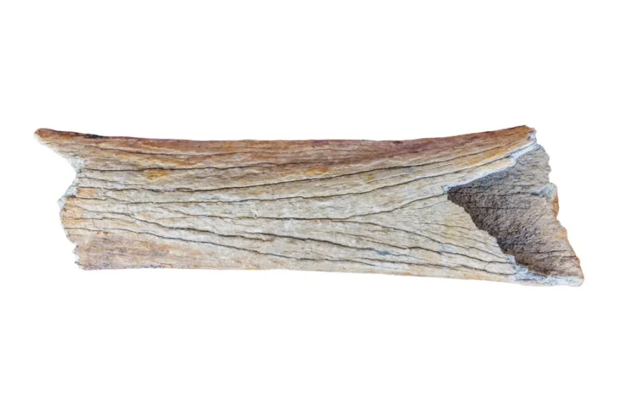 Περισσότερα από 100.000 αρχαιολογικά ευρήματα ανακαλύφθηκαν κατά την κατασκευή αυτοκινητόδρομου