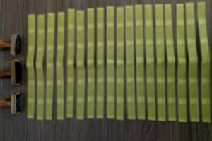 Συγκομιδή… ευρώ με εικονικά σπόρια: Η απάτη που εξέθεσε 289 παραγωγούς -Το κόλπο με τις εταιρείες-φαντάσματα