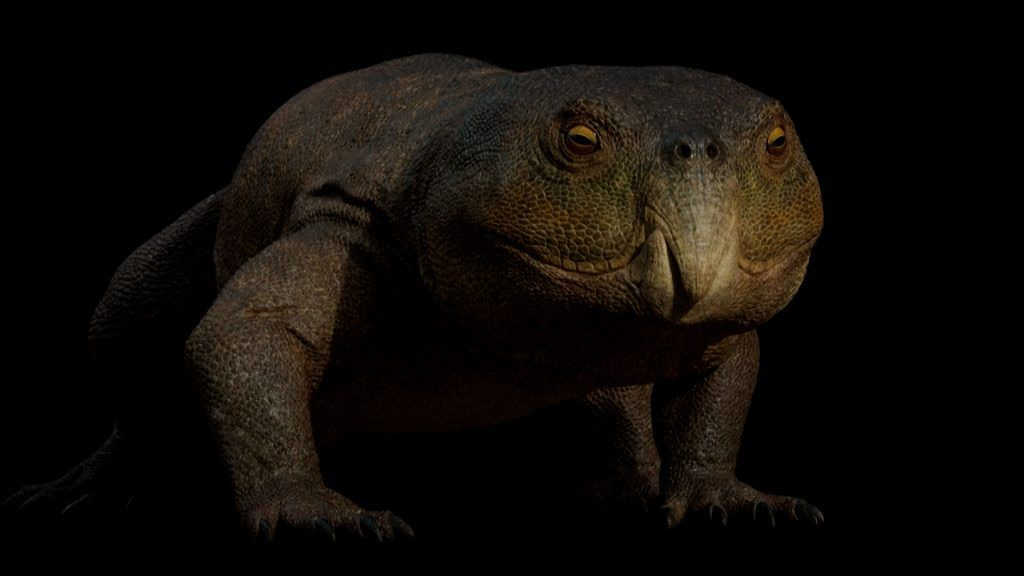 Ερπετό 230 εκατ. ετών με ράμφος παπαγάλου έφεραν στο φως επιστήμονες στη Βραζιλία