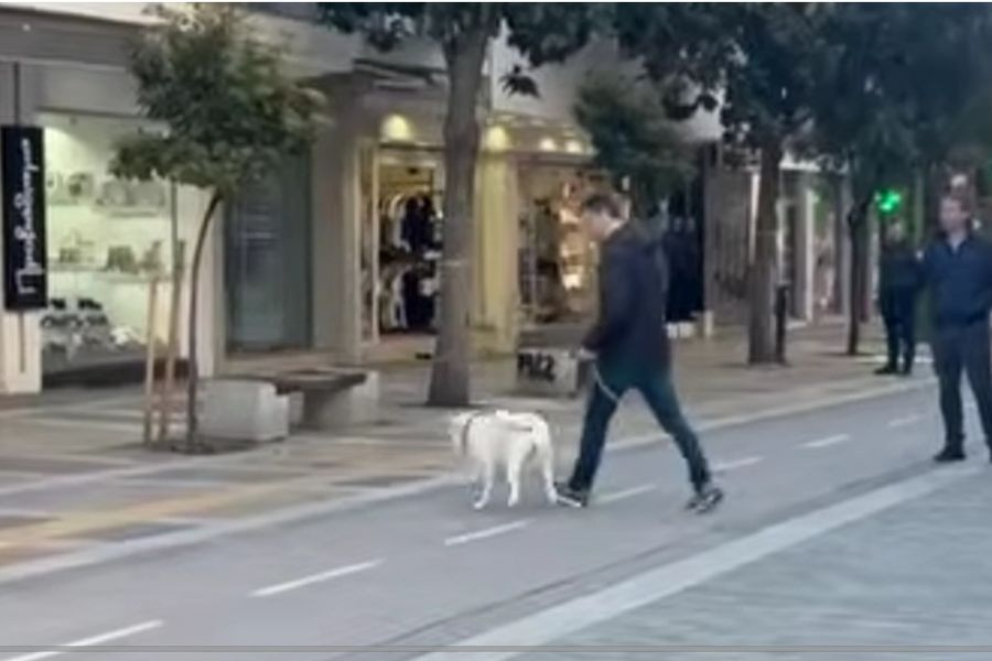 Σέρρες: Τηλεφώνημα για βόμβα στο γραφείο της βουλευτή Φωτεινής Αραμπατζή