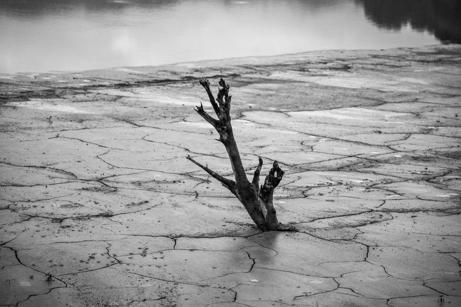 Το μυστήριο των χειμερινών βροχών: Η αποτυχία των κλιματικών μοντέλων για την ξηρασία στη Μεσόγειο