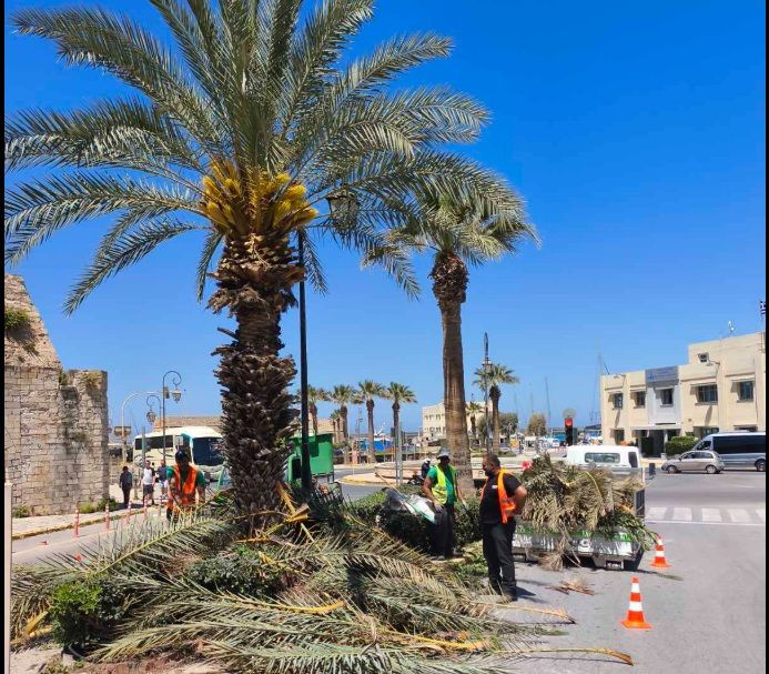 Δήμος Ηρακλείου: Συνεχίζονται οι εκτεταμένες παρεμβάσεις συντήρησης και καλλωπισμού του πρασίνου στους κοινόχρηστους χώρους