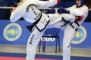 Ευρωπαϊκό Πρωτάθλημα Taekwon-Do ITF: Στο Ηράκλειο από 19 έως 25 Απριλίου η κορυφαία διοργάνωση