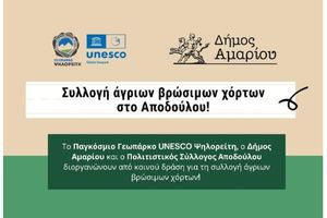 Δράση συλλογής άγριων βρώσιμων χόρτων στο Αποδούλου