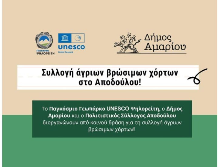 Δράση συλλογής άγριων βρώσιμων χόρτων στο Αποδούλου