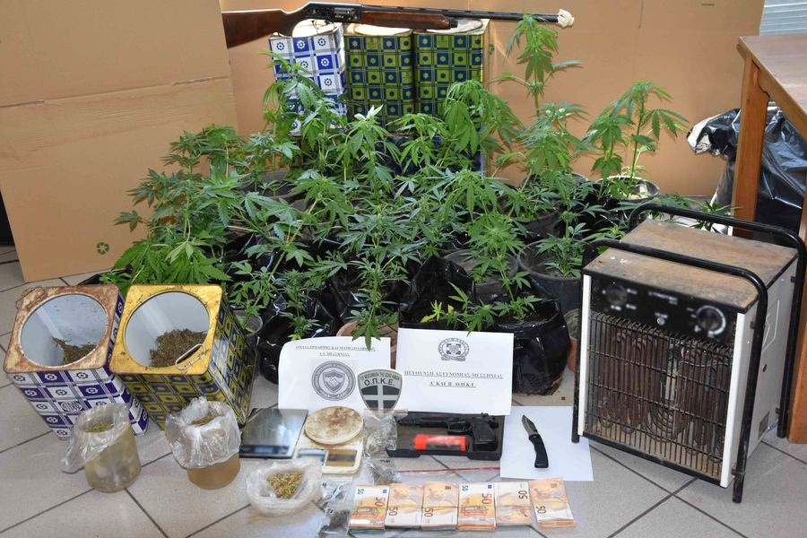Σύλληψη δύο ατόμων με 36 δενδρύλλια κάνναβης, οπλοστάσιο και κροτίδες